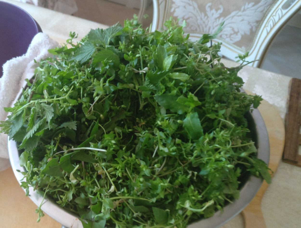 Розмарин эстрагон Любисток