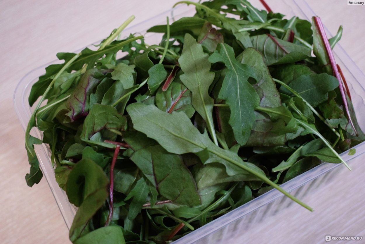 Сорняк Клевер на газоне