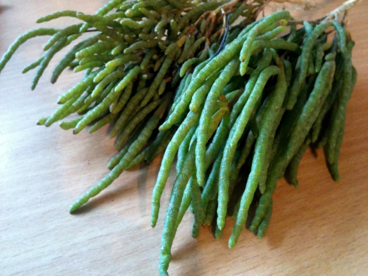 Дюны с растительностью