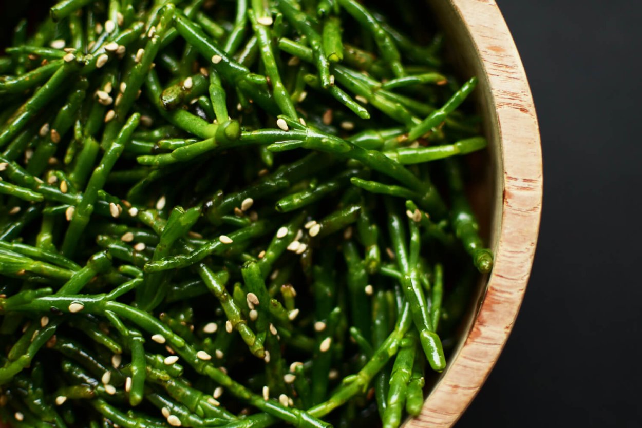 Солерос (саликорния, морская спаржа)