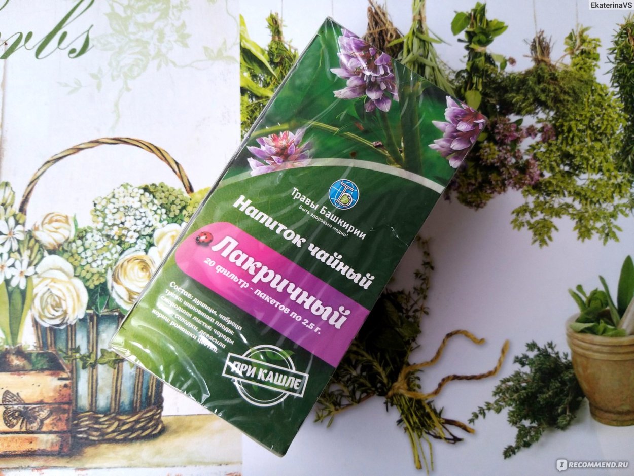 Душица Аманская