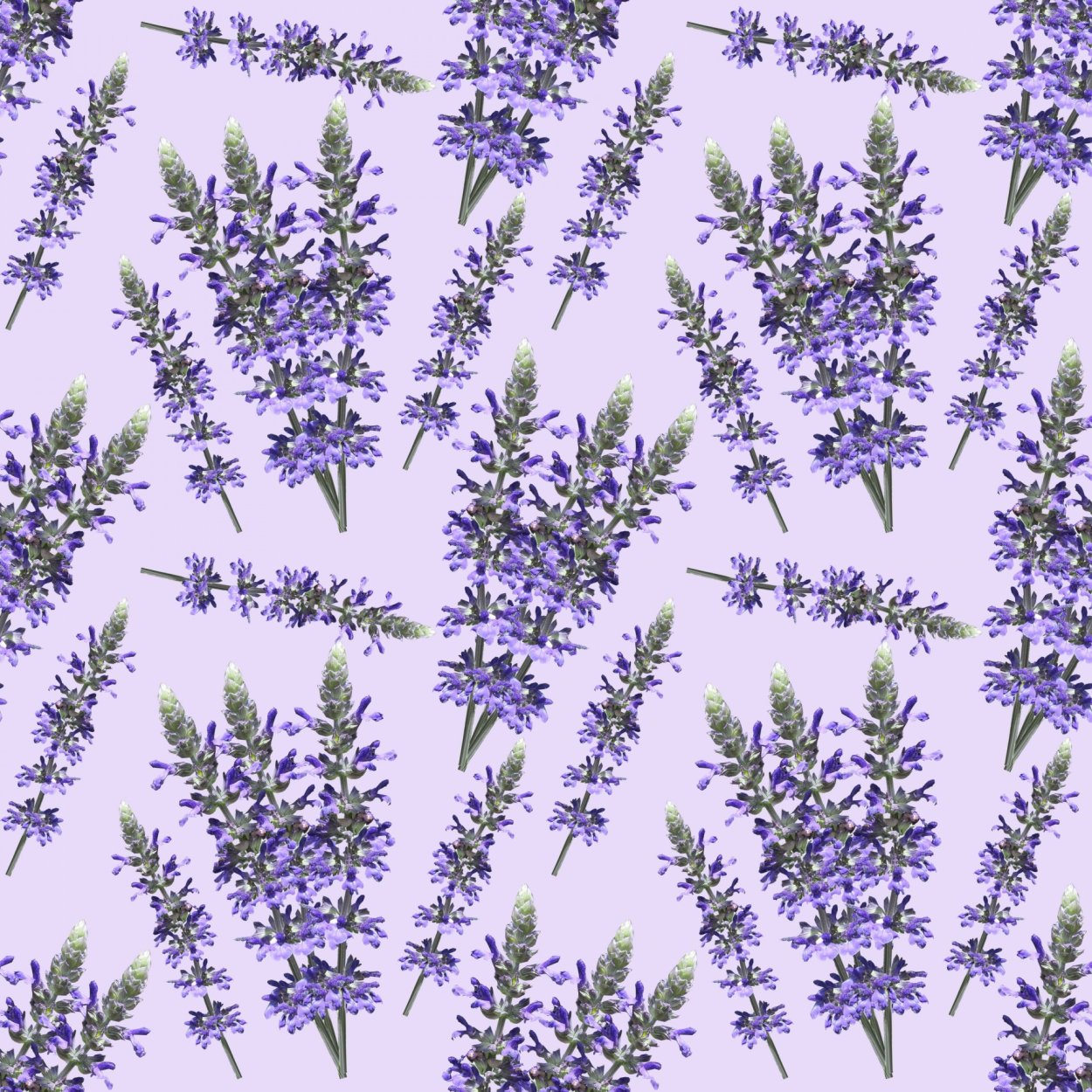 Фон Прованс