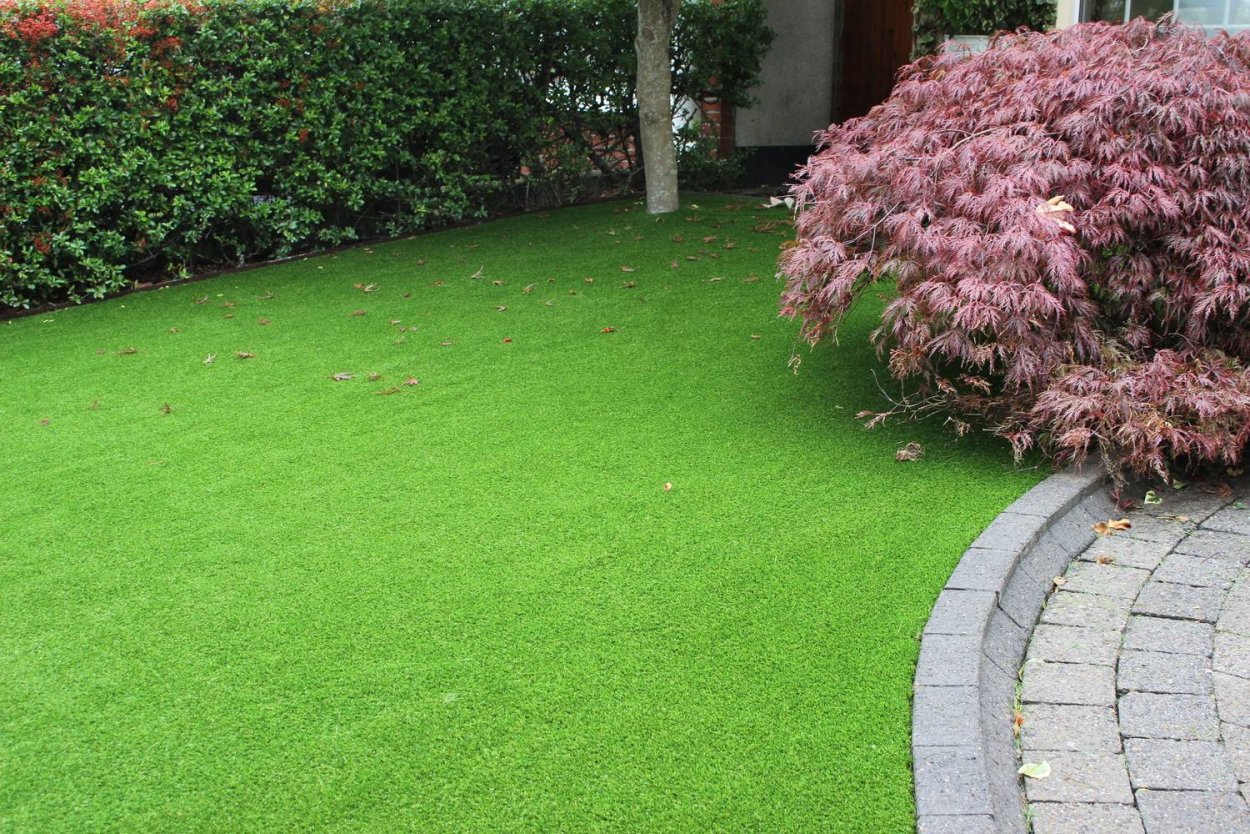 Овсяница Луговая