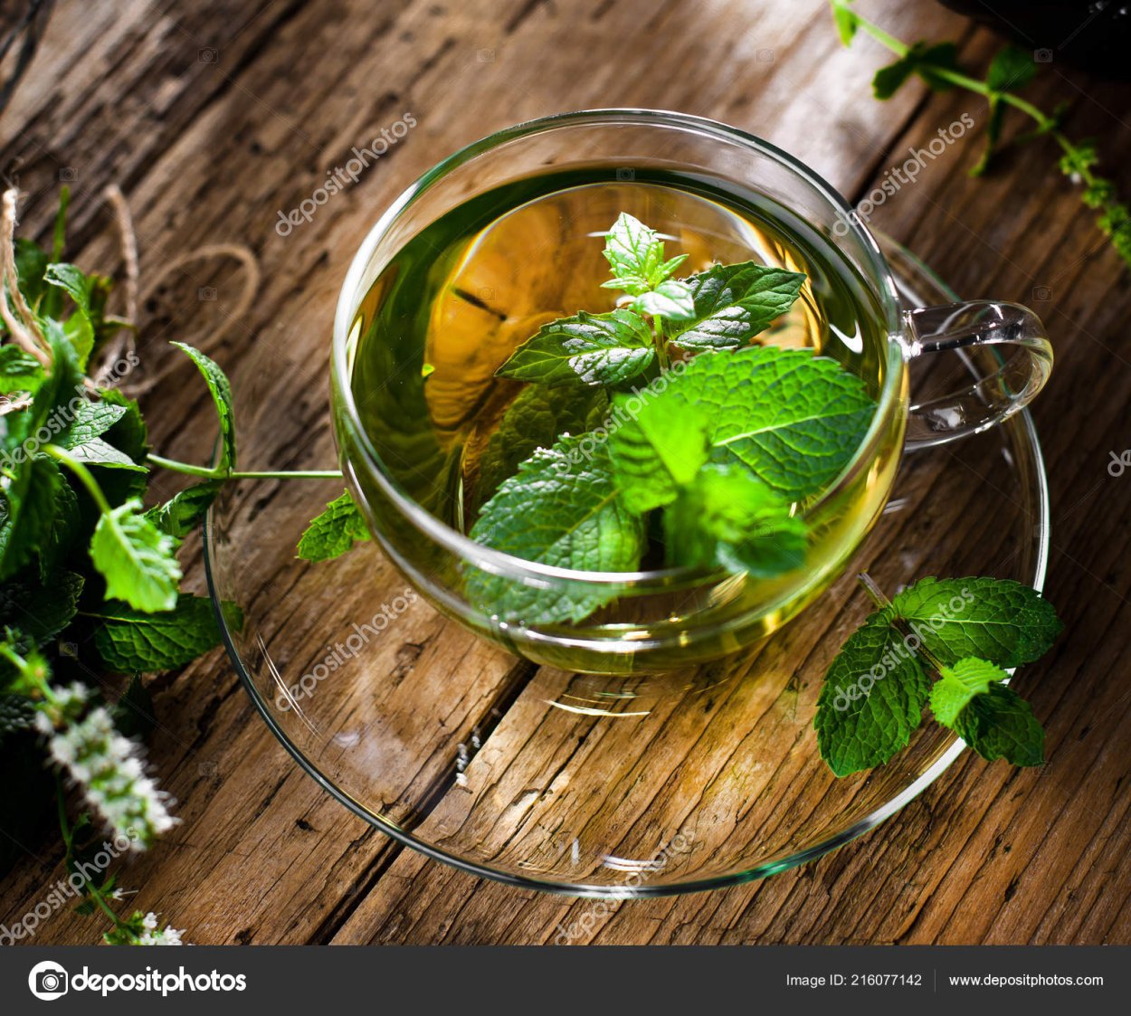 Зеленая мята