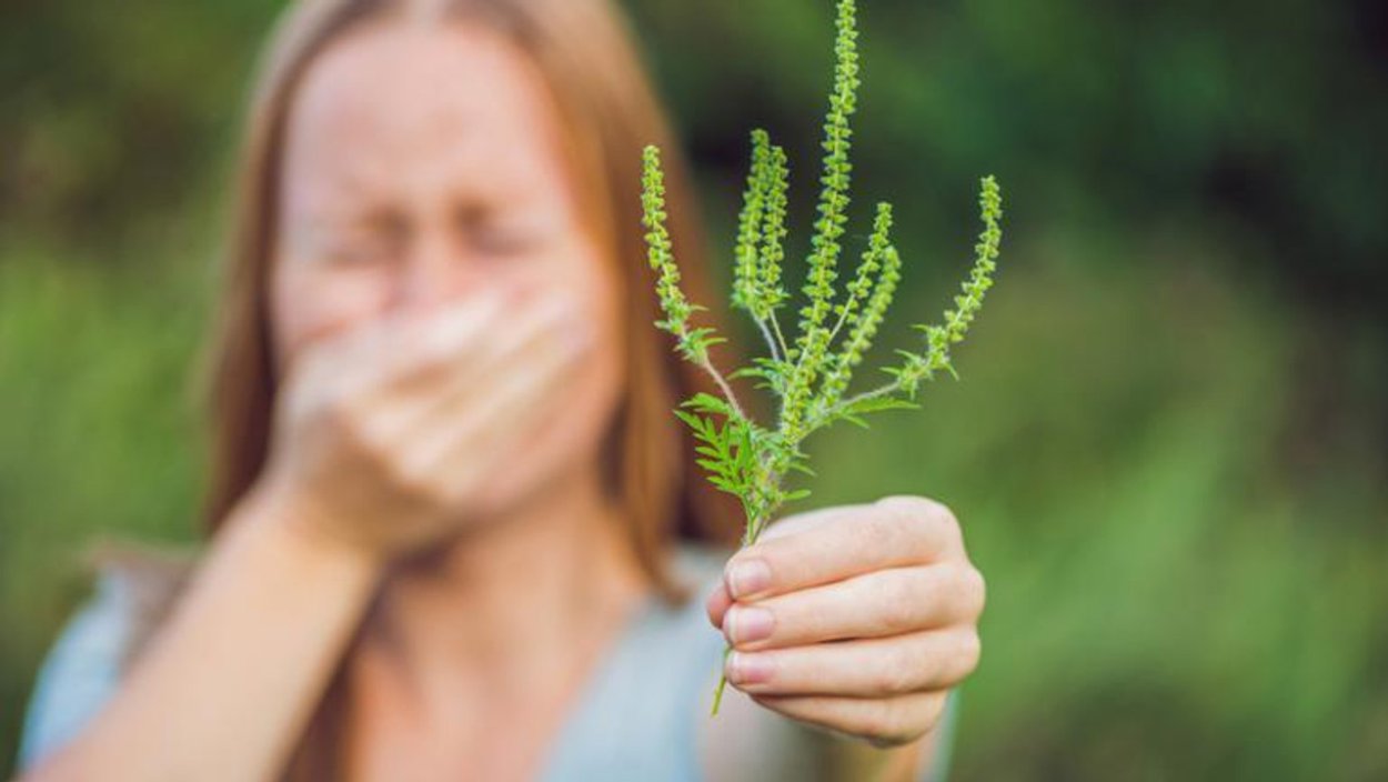 Растения и человек
