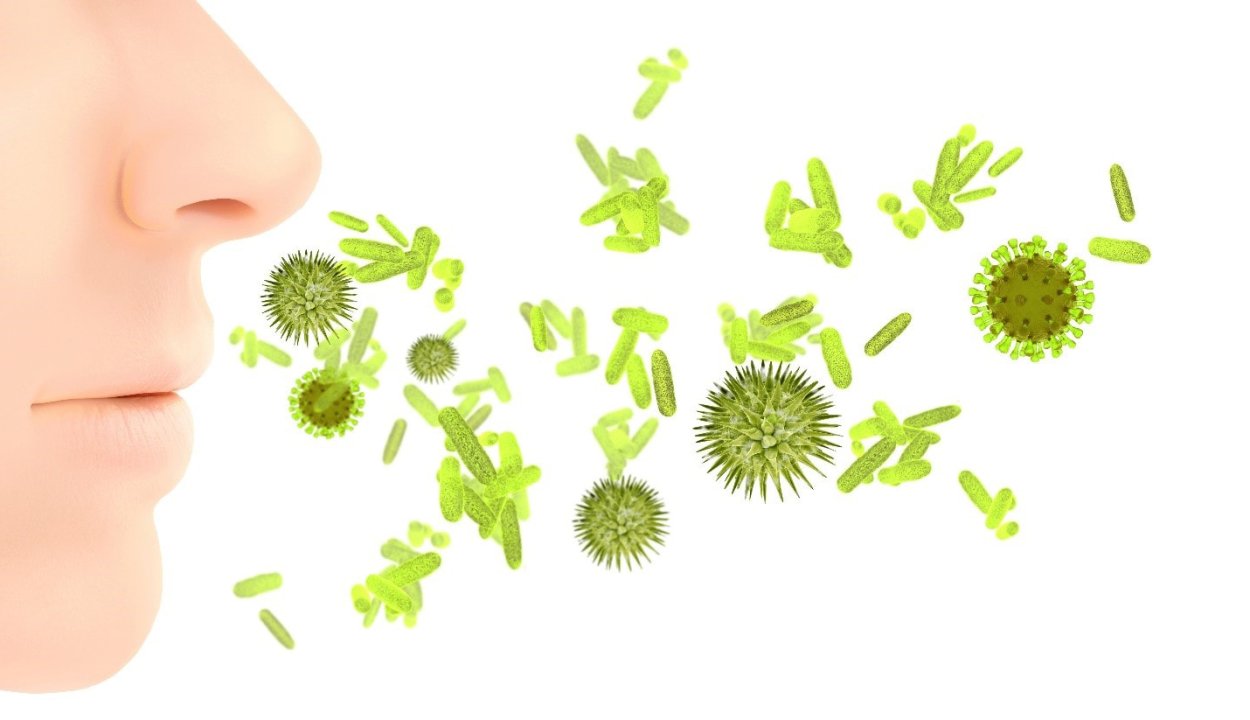 Травы перец базилик мята