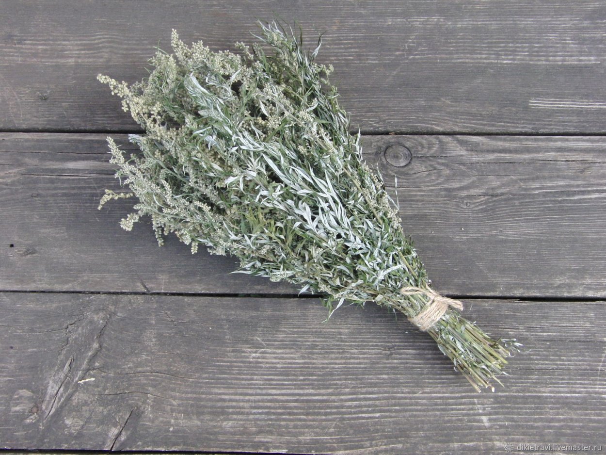 Мюленбергия бесстрашная