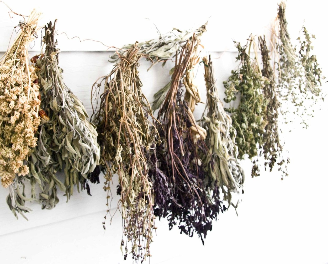 Тимофеевка Луговая Ленинградская 204