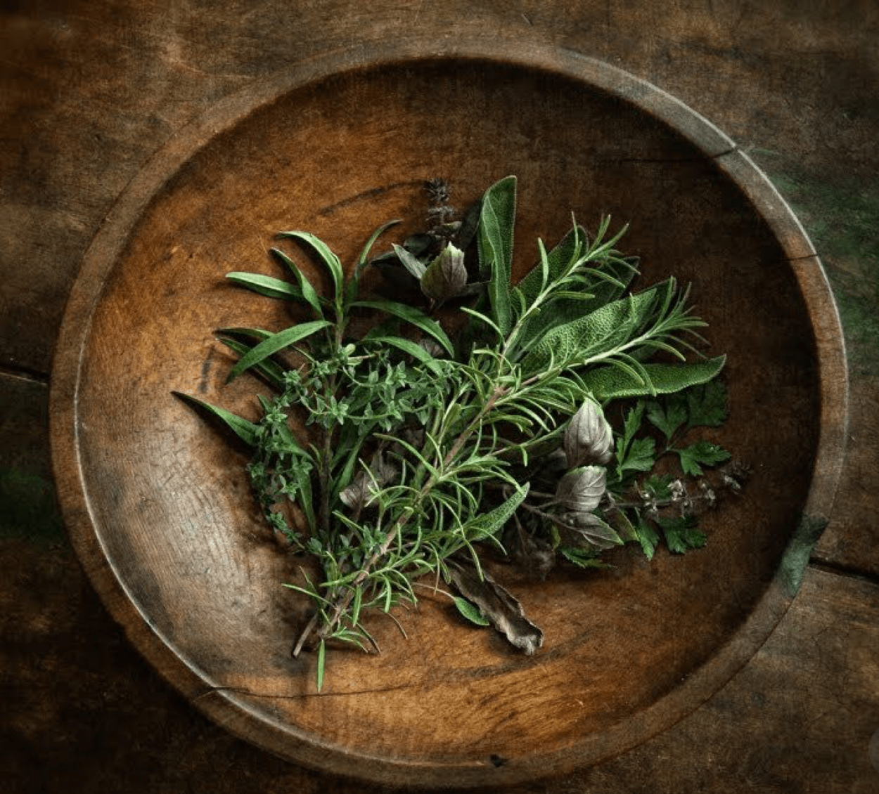 Полынь ВЕДЬМИНА трава