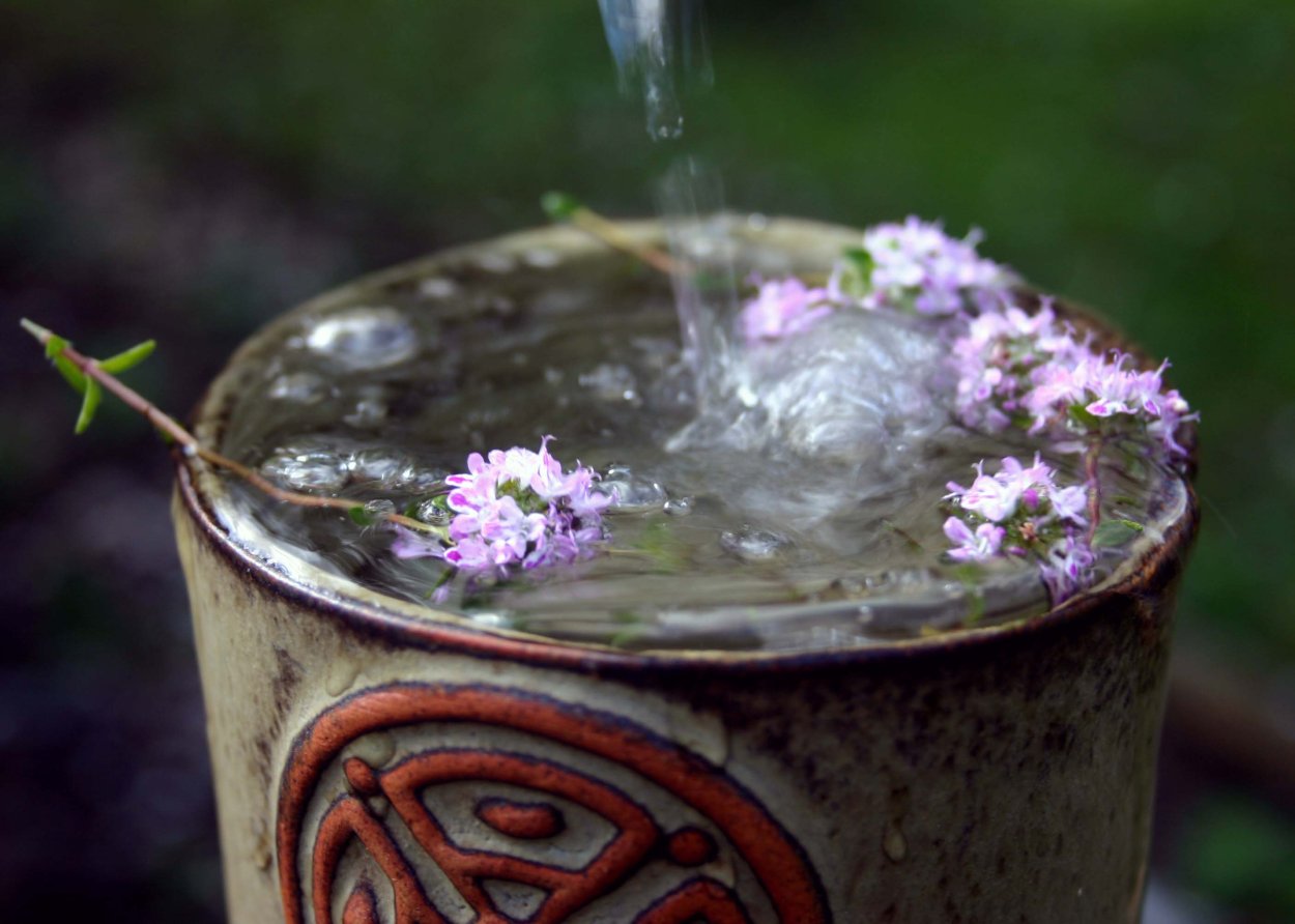 Магическое растение