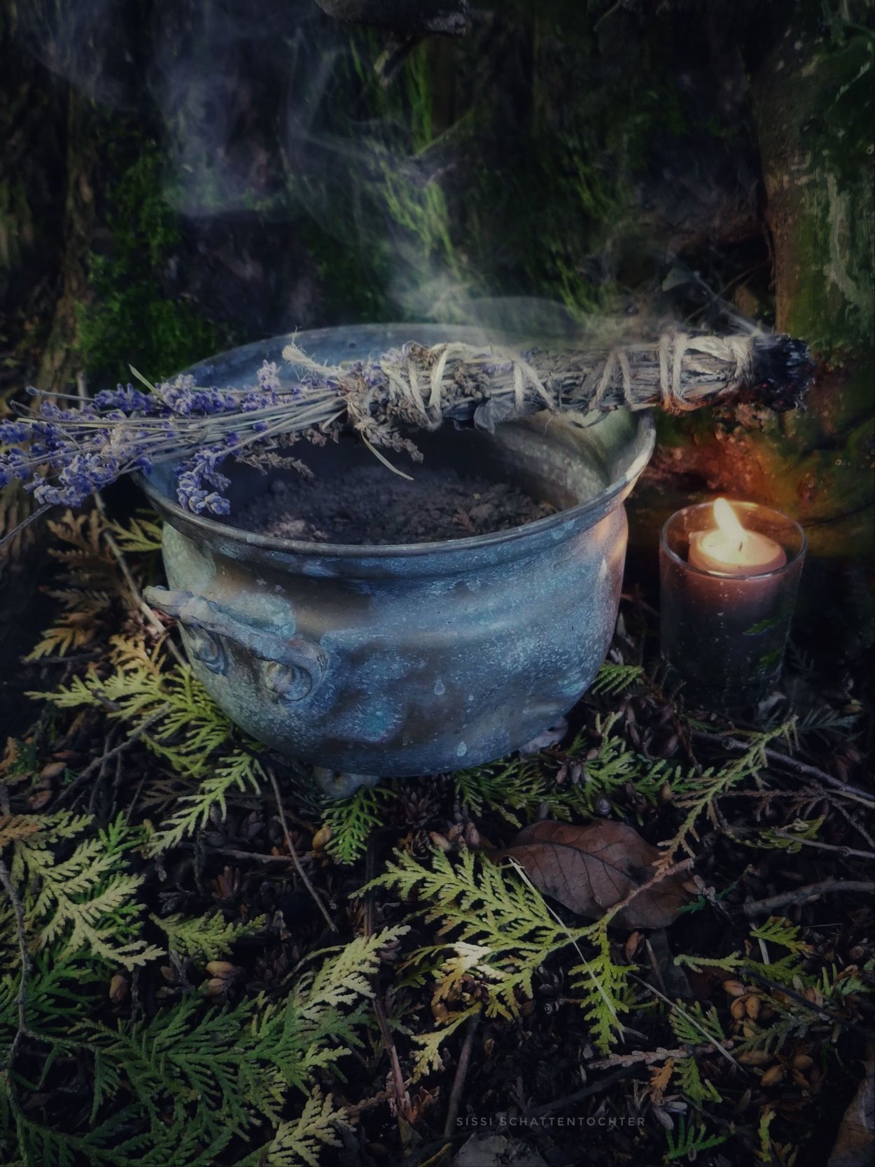 Обитель Лесной ведьмы травник