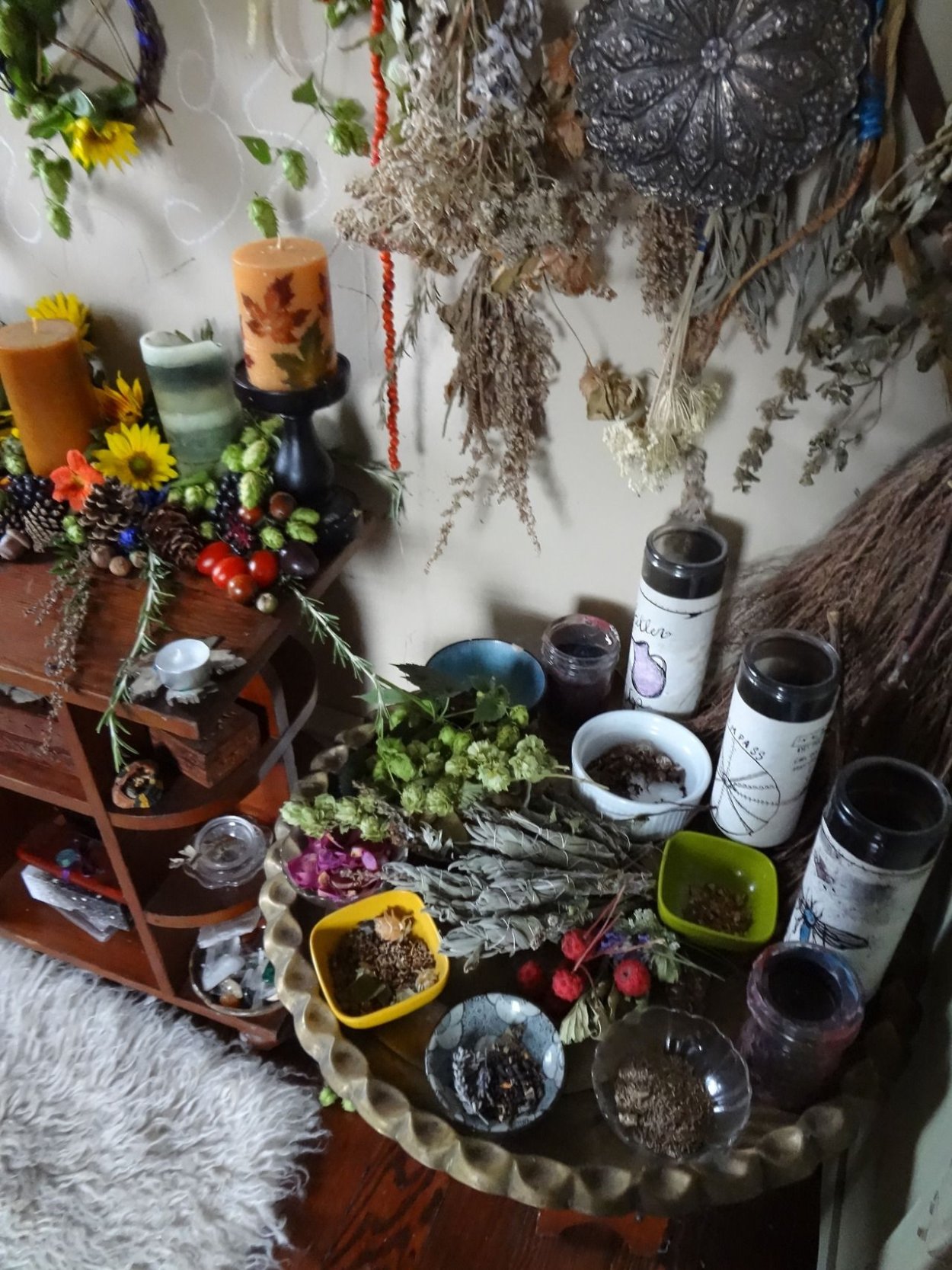 Ведьмовские травы