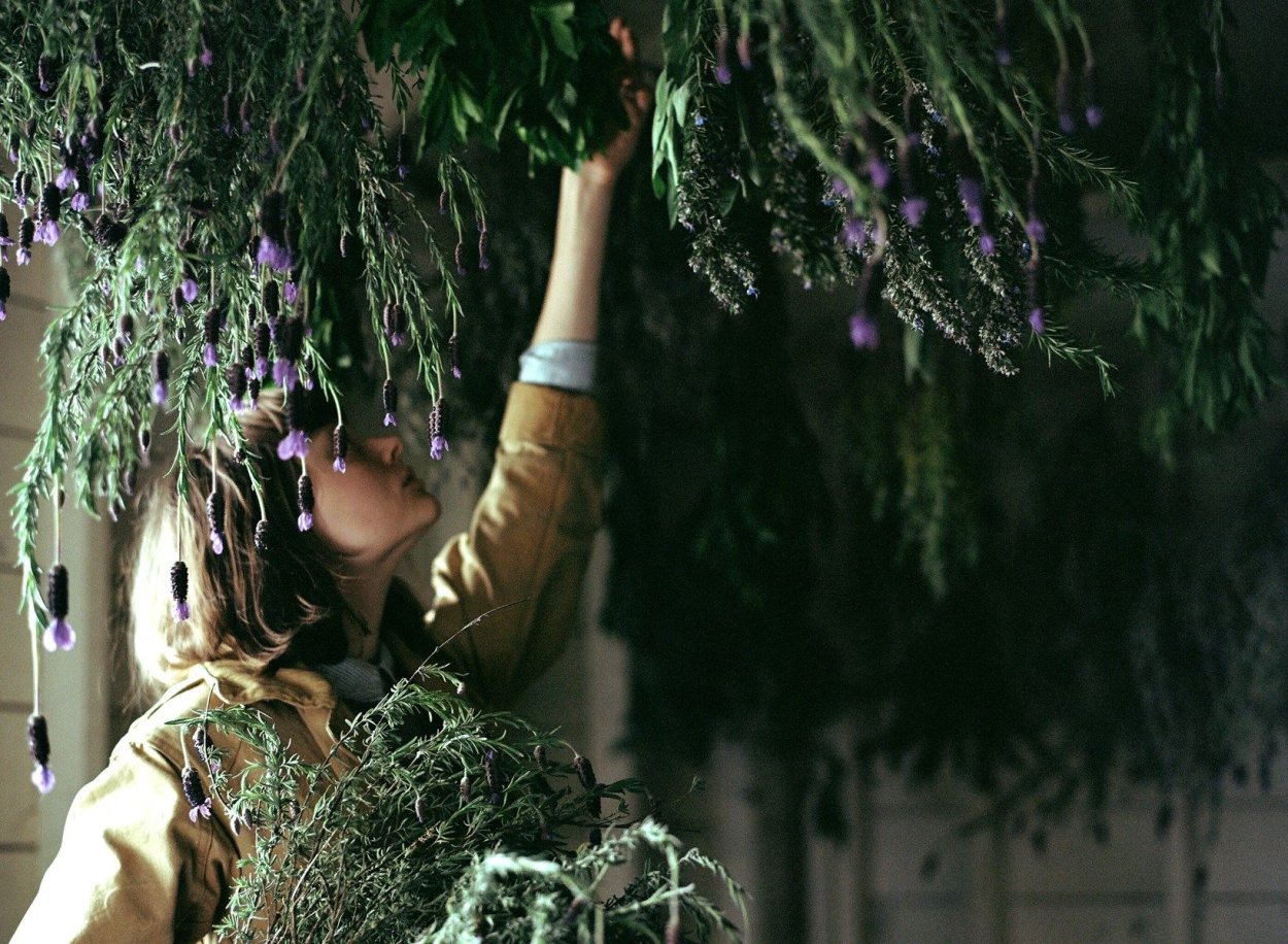 Травяная ведьма