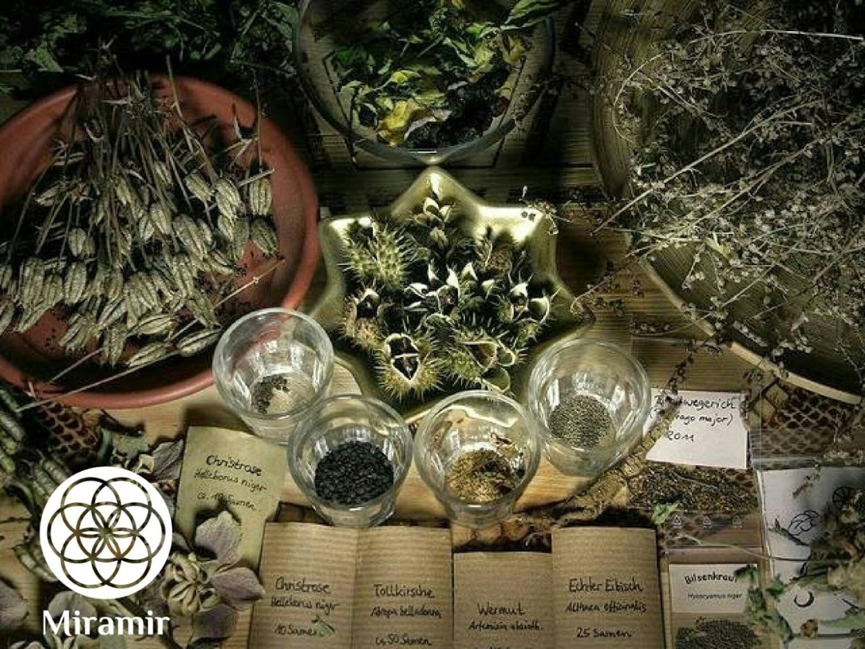 Магические травы