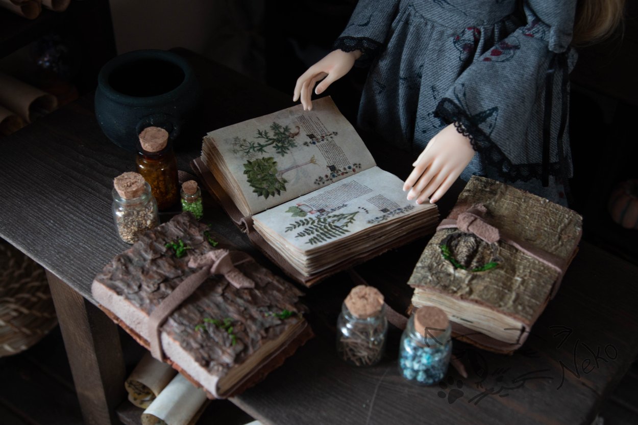 Обитель Лесной ведьмы травник