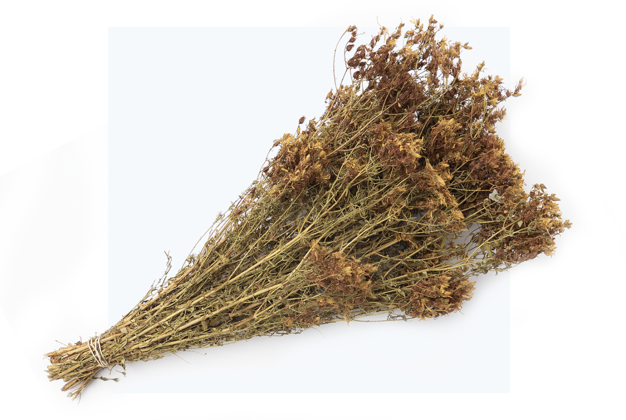 Растительный фон