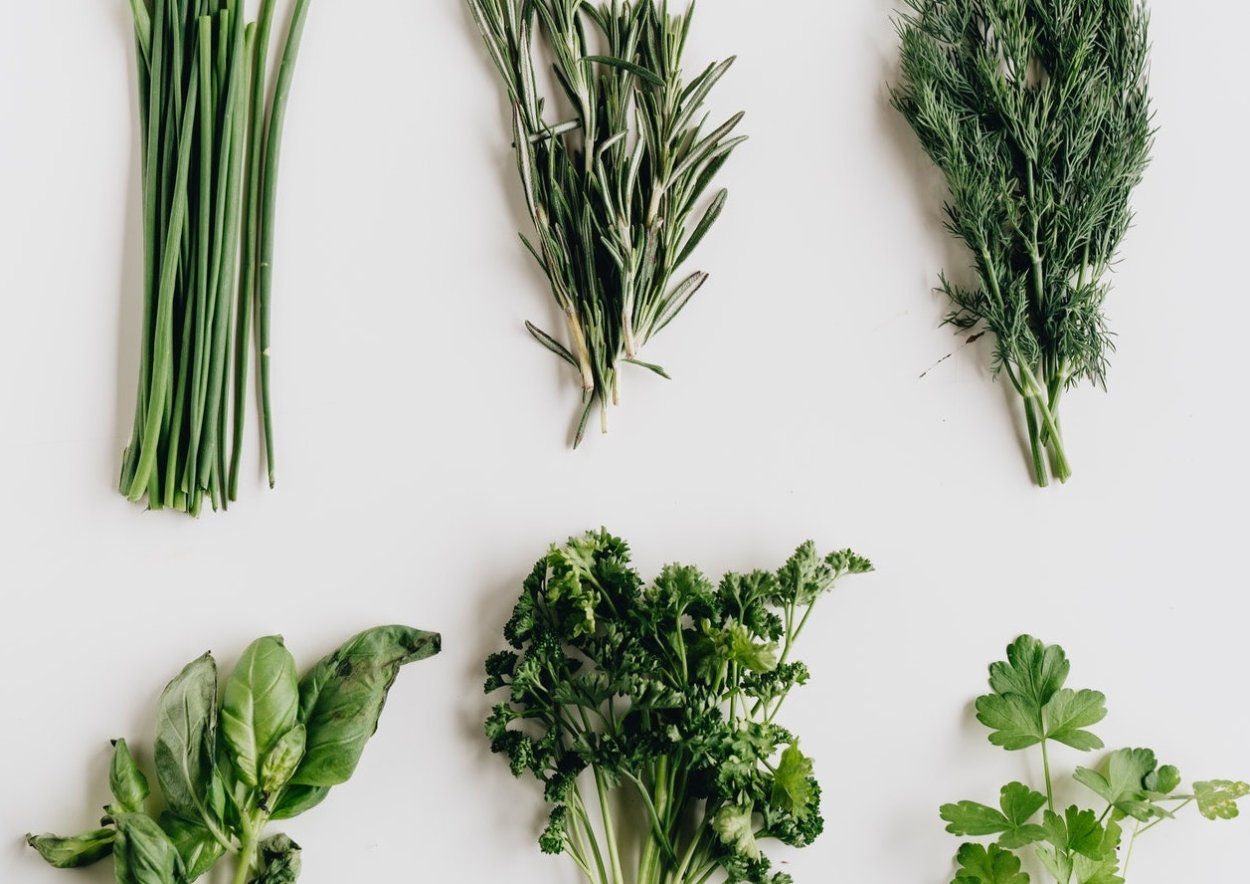 Сорняк портулак огородный