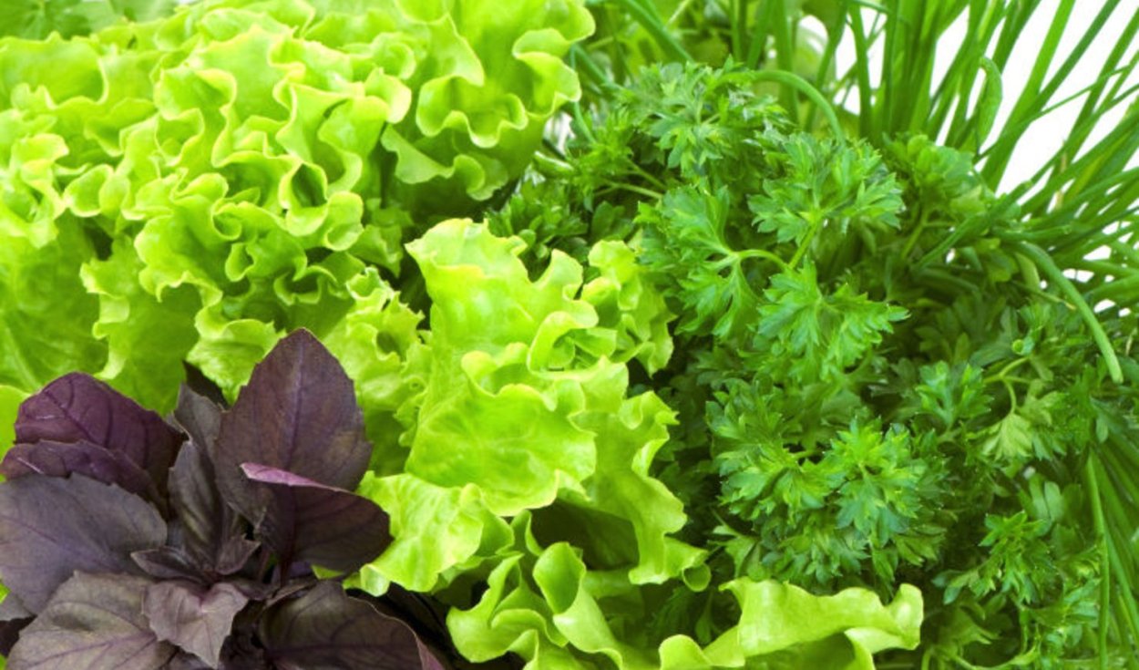 Кресс-салат мечта Дербента