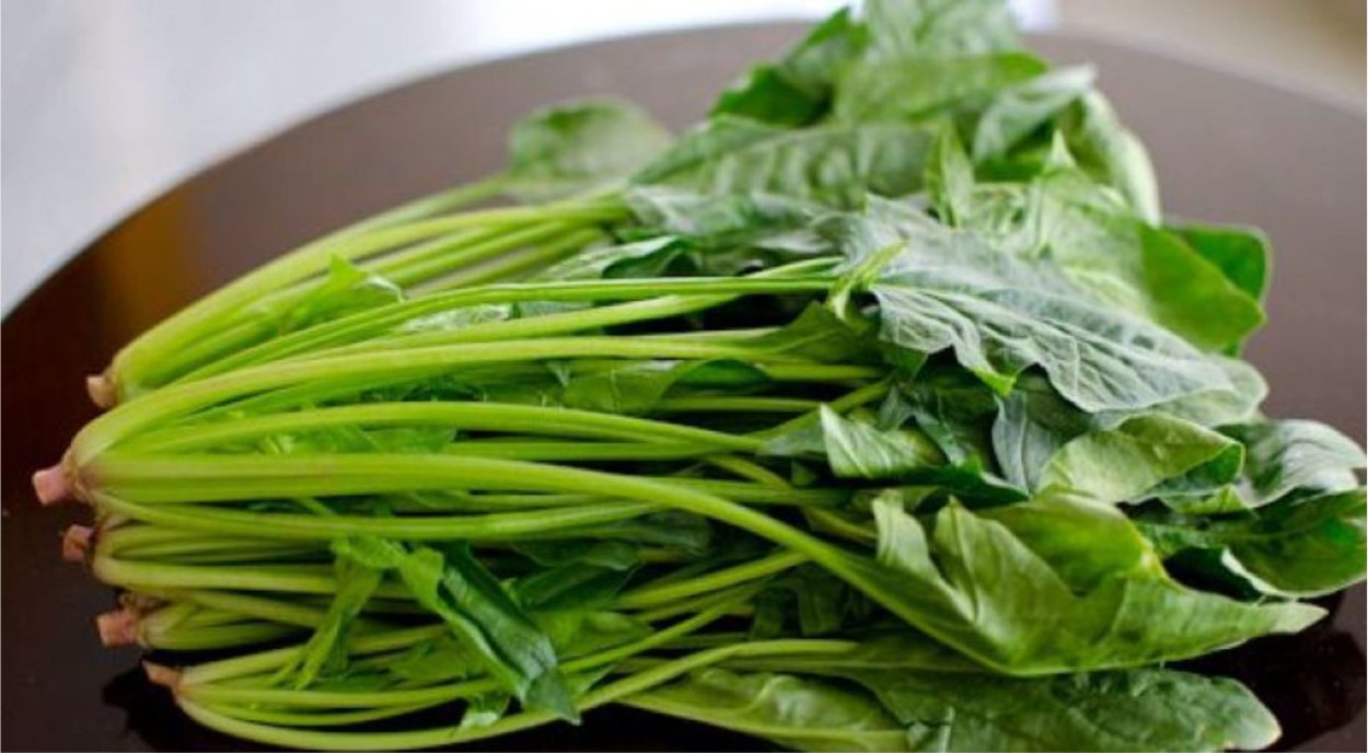 Зелень зелёными стеблями