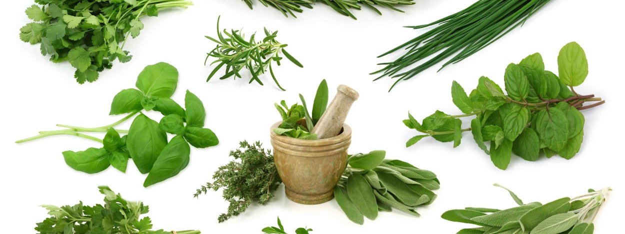 Керминзюк пряная трава