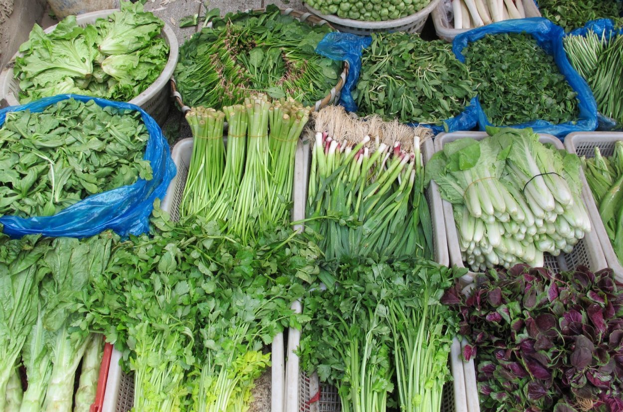 Съедобная зелень