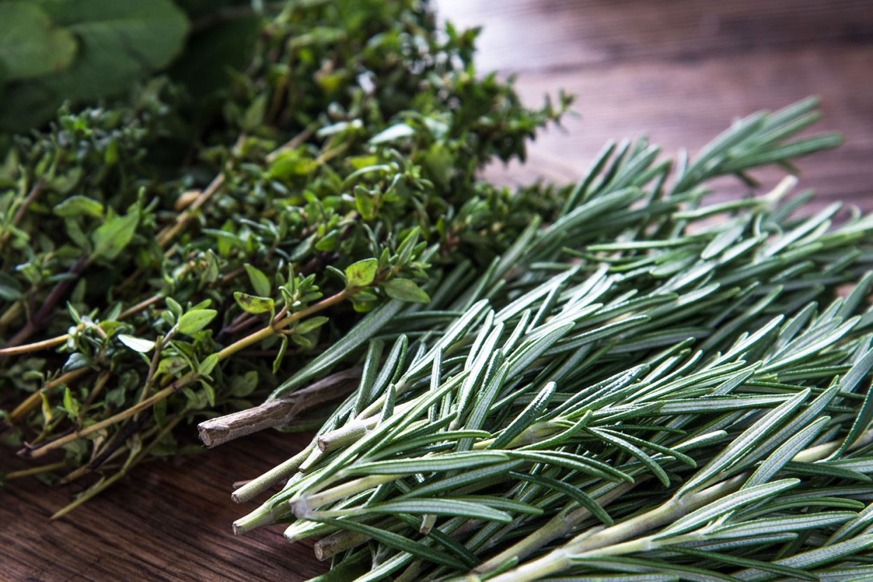 Блюда из молодой полыни, одуванчика и дикого лука