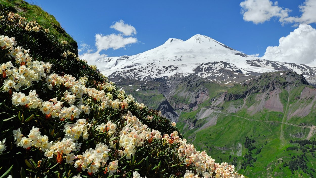 Кабардино-Балкария вид на Эльбрус