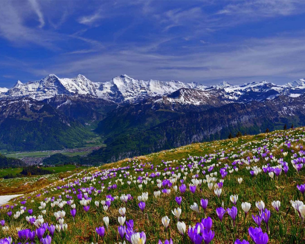 Альпийские Луга в Словении