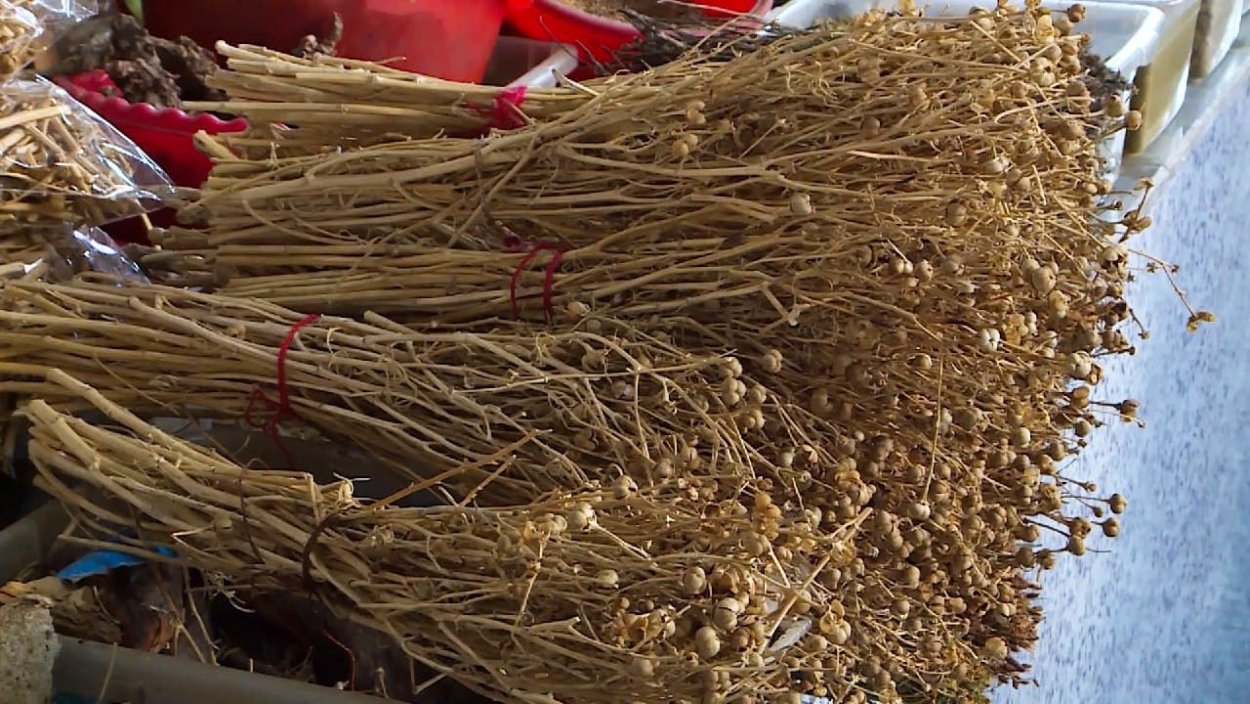 Гармала исырык