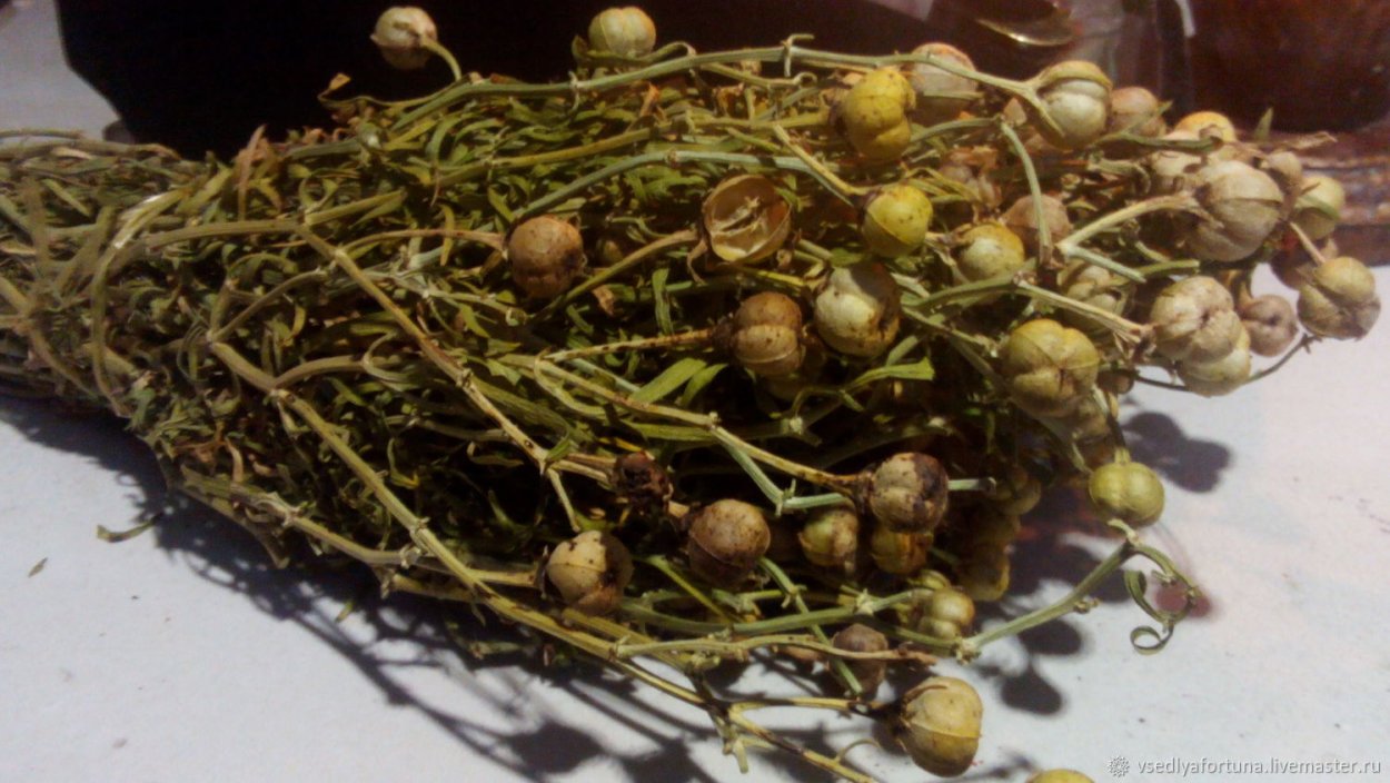 Гармала трава