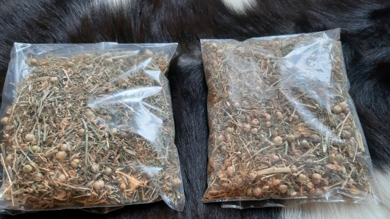 Гармала сухая