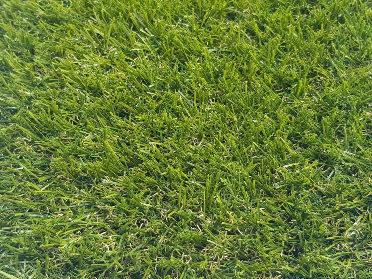 ЗЕМЛЕВАНИЕ газона