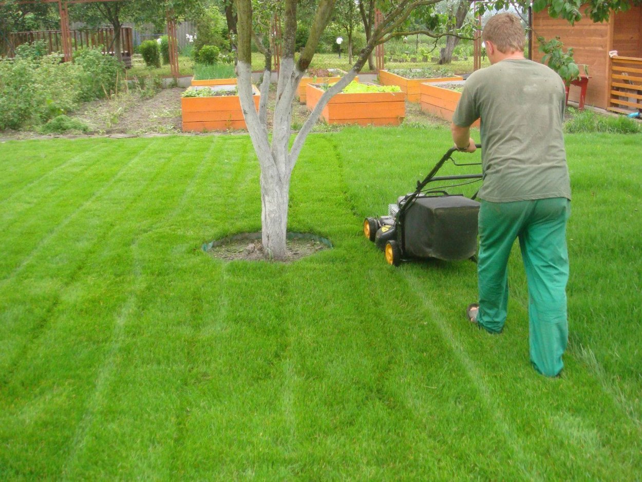 Искусственная трава grass 1*2м 6 мм