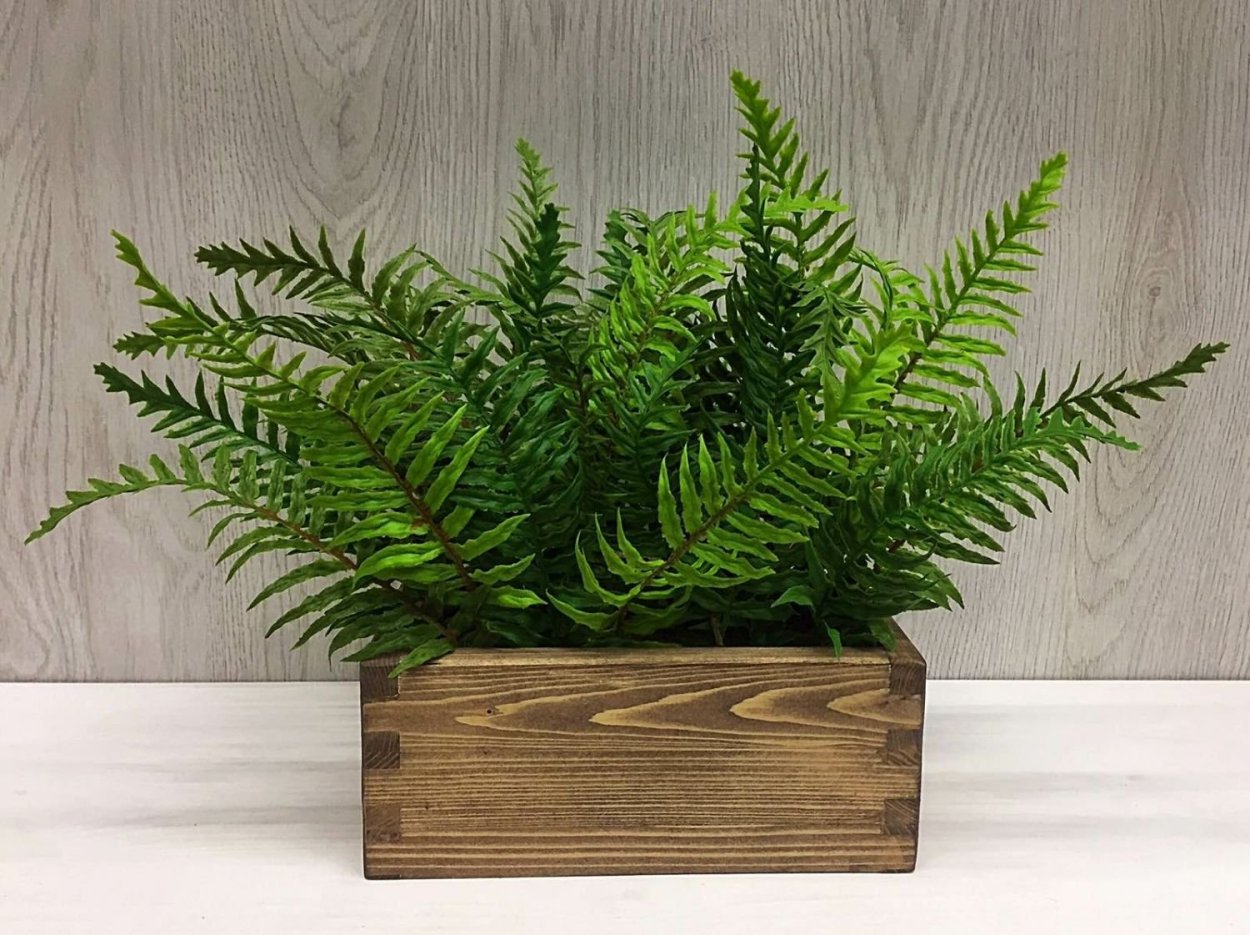 Радар-детектор Megaforcer z-11st