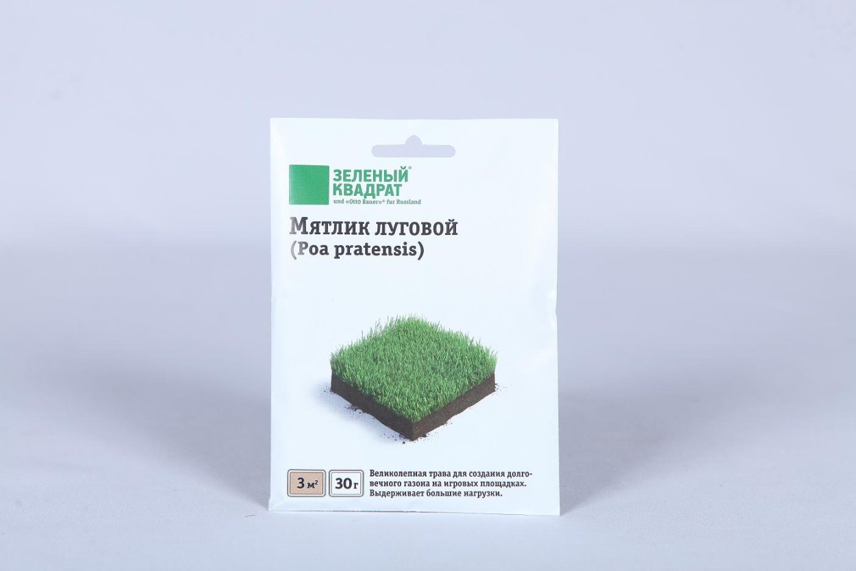 Газонная трава мятлик