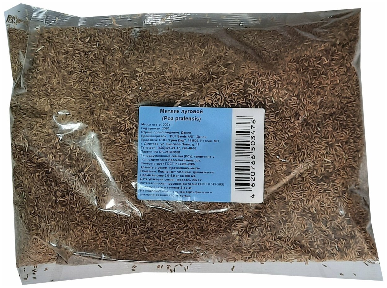 Трава мятлик Луговой
