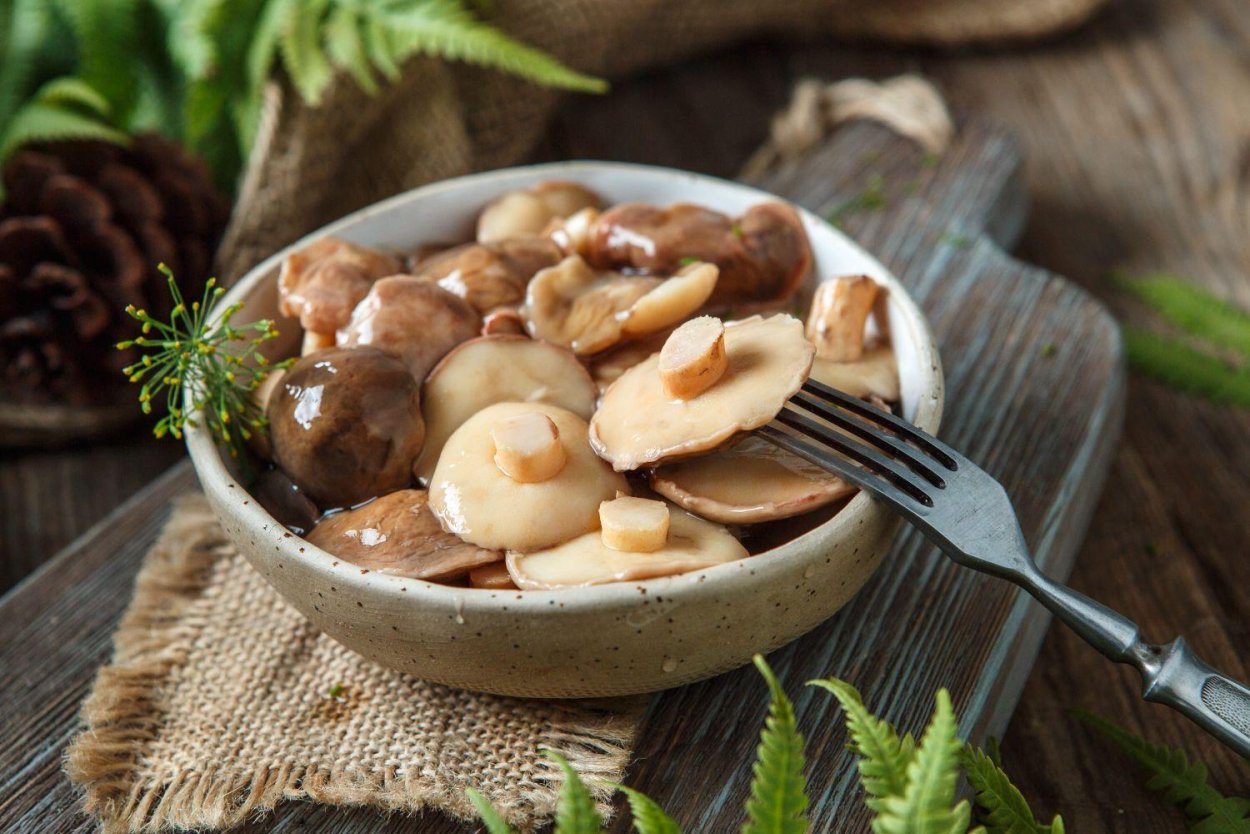 Грибы Микадо маслята