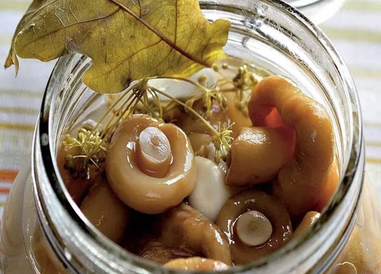 Грибы грузди маринованные