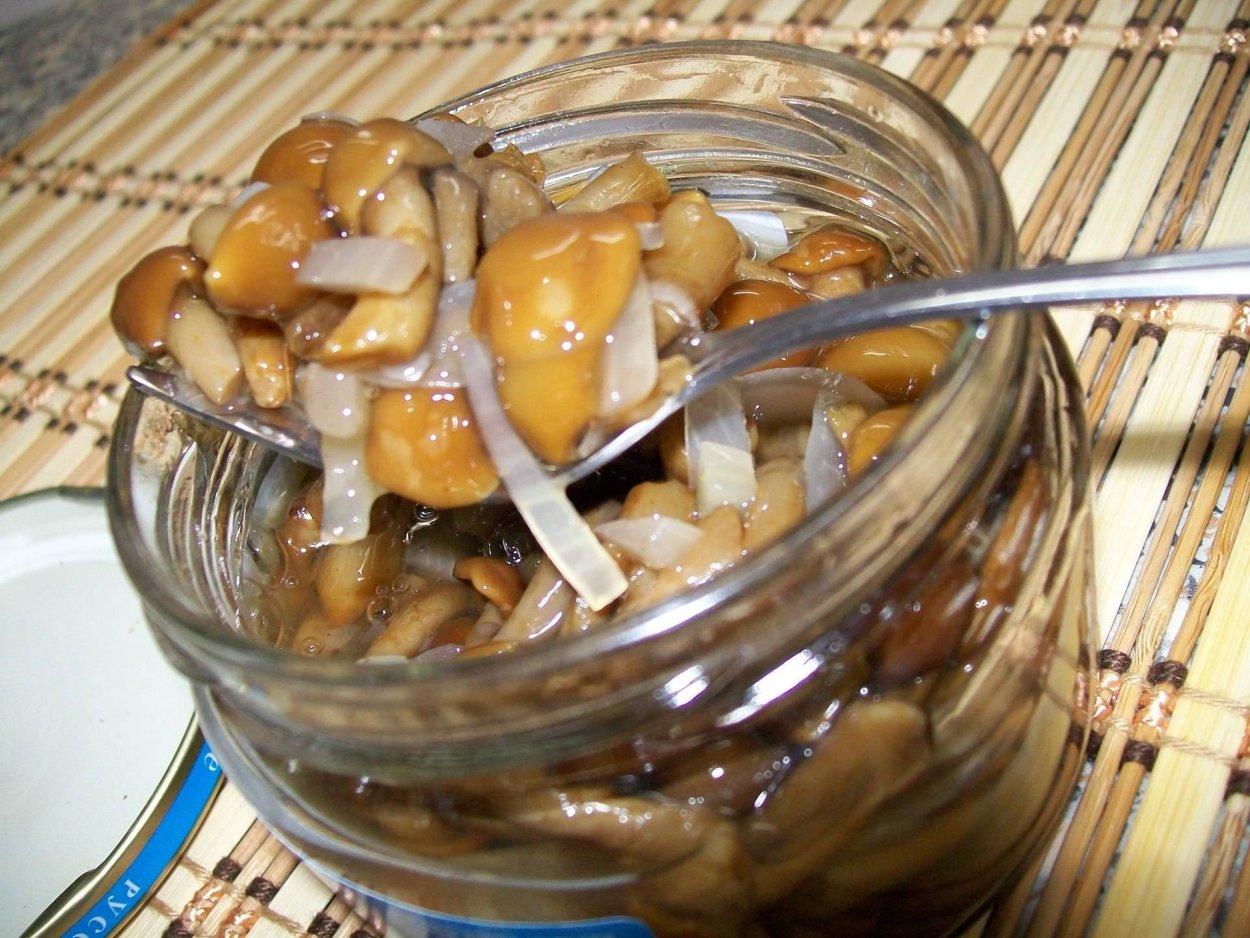 Мариновка уксус опята грибы