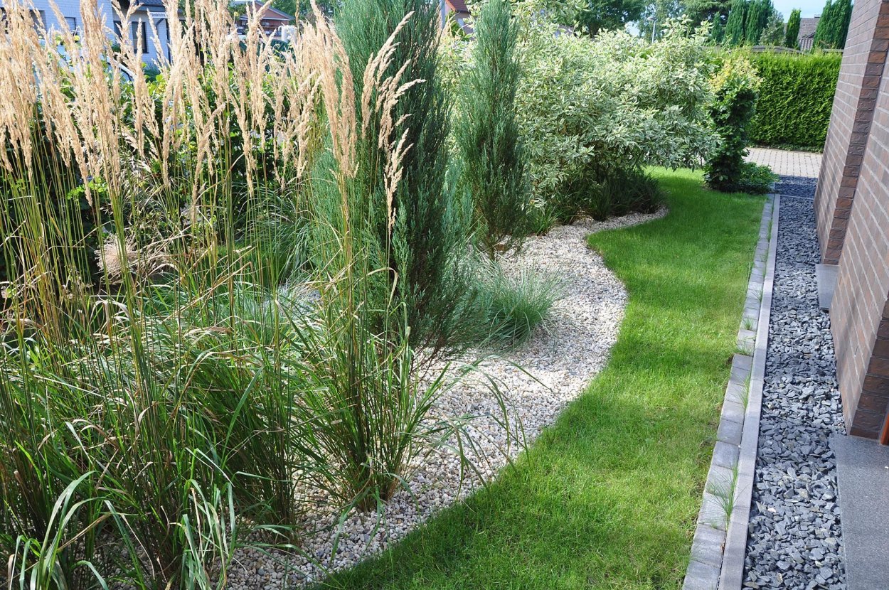 Композиция из разных злаков в саду