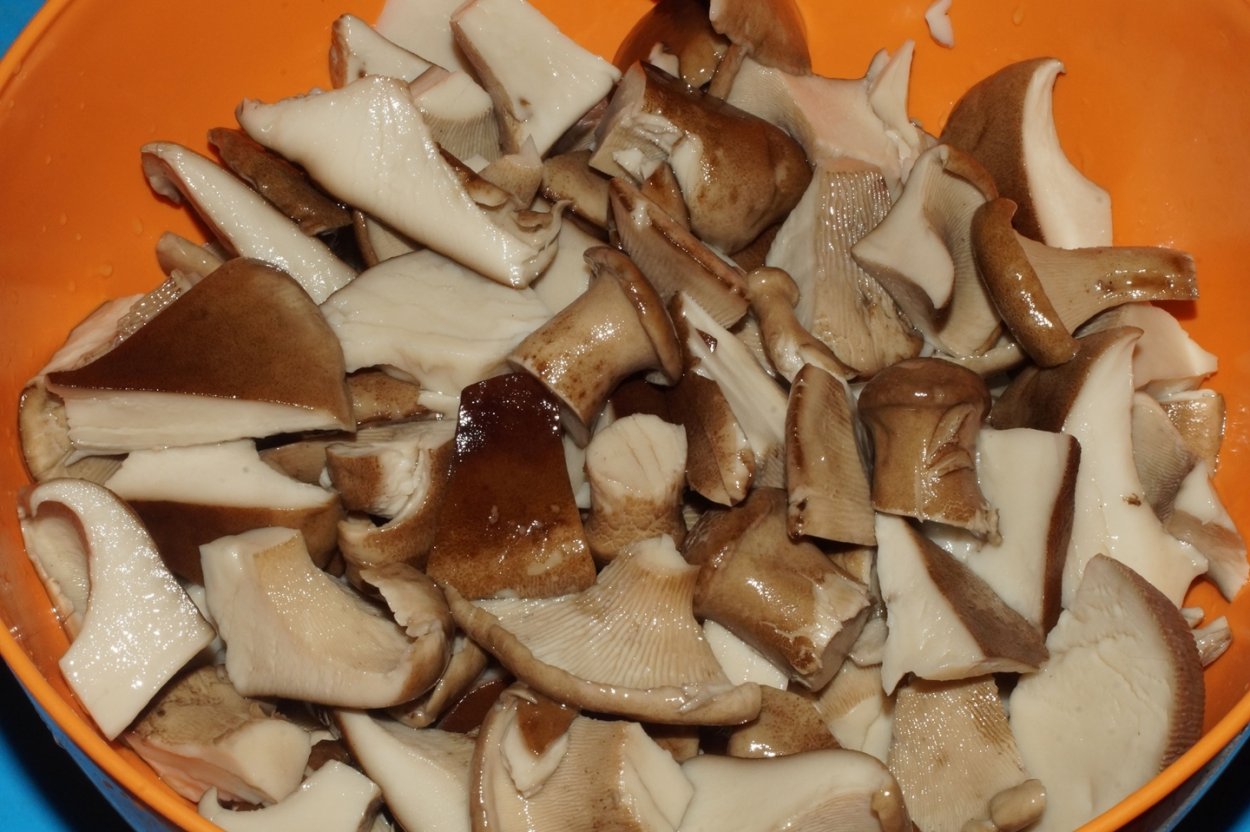 Грибы в Китае