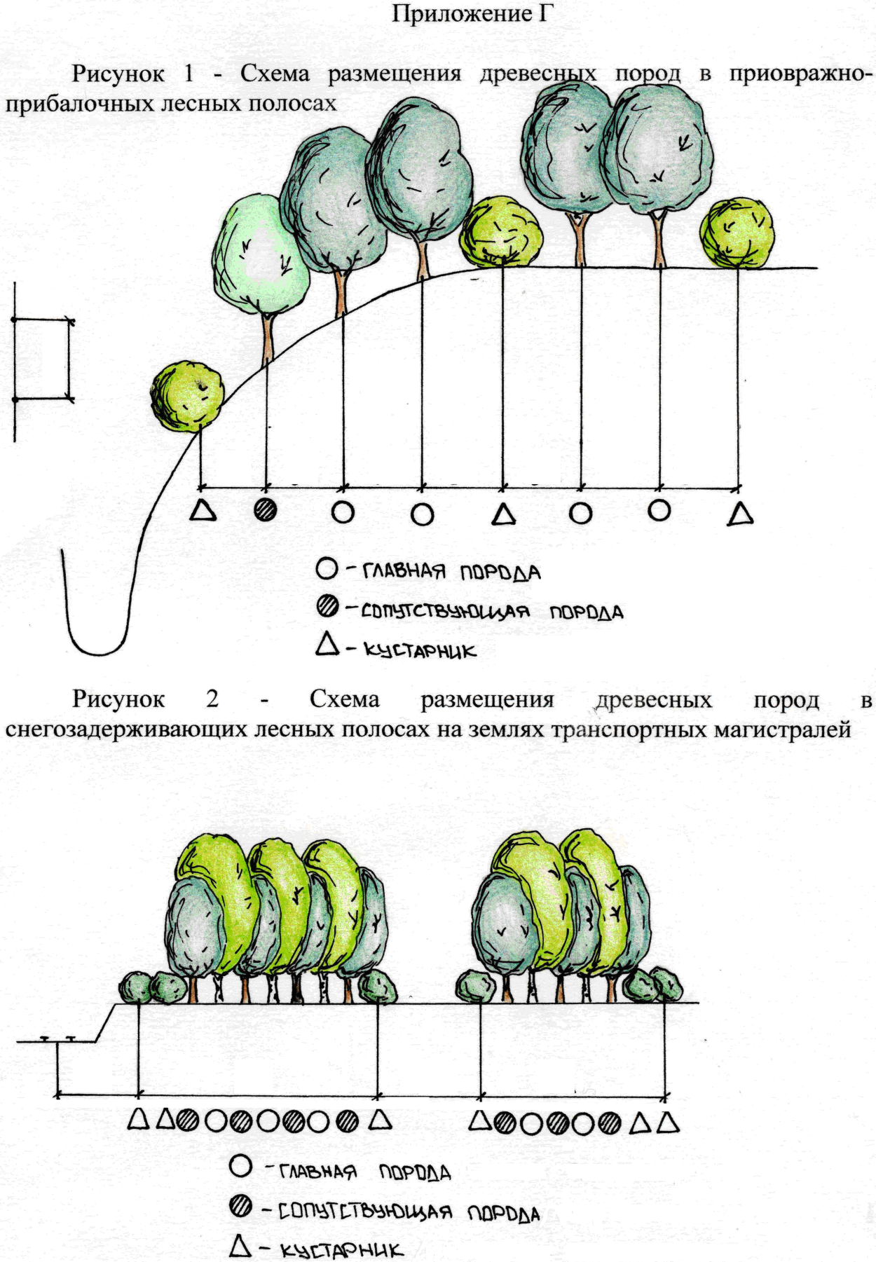Лесополоса белая Калитва Пенза
