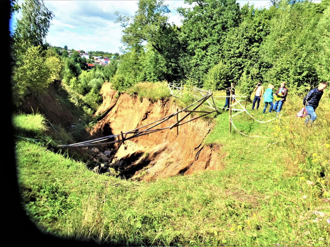 Лесопосадки вдоль дорог