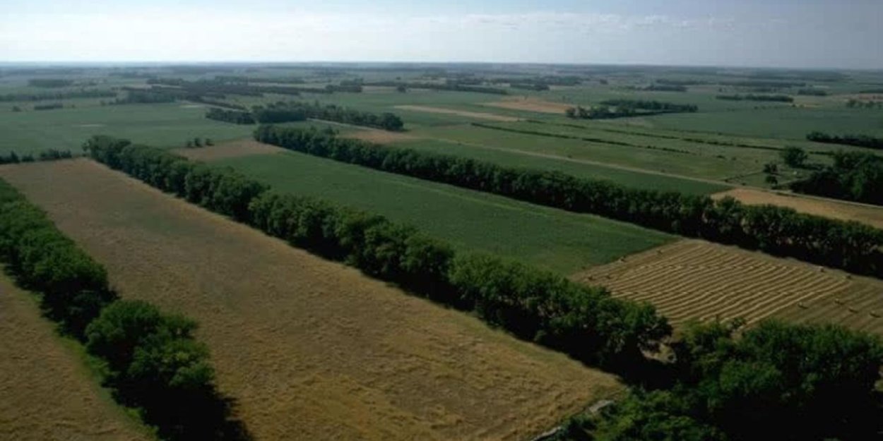 Холмы, горы, овраги Мордовии