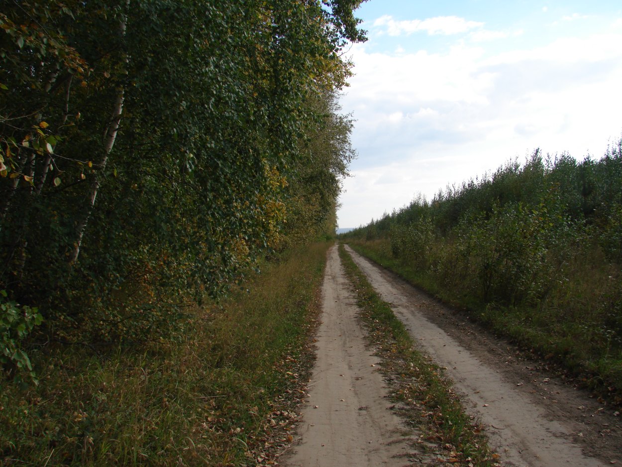 Водорегулирующие лесополосы