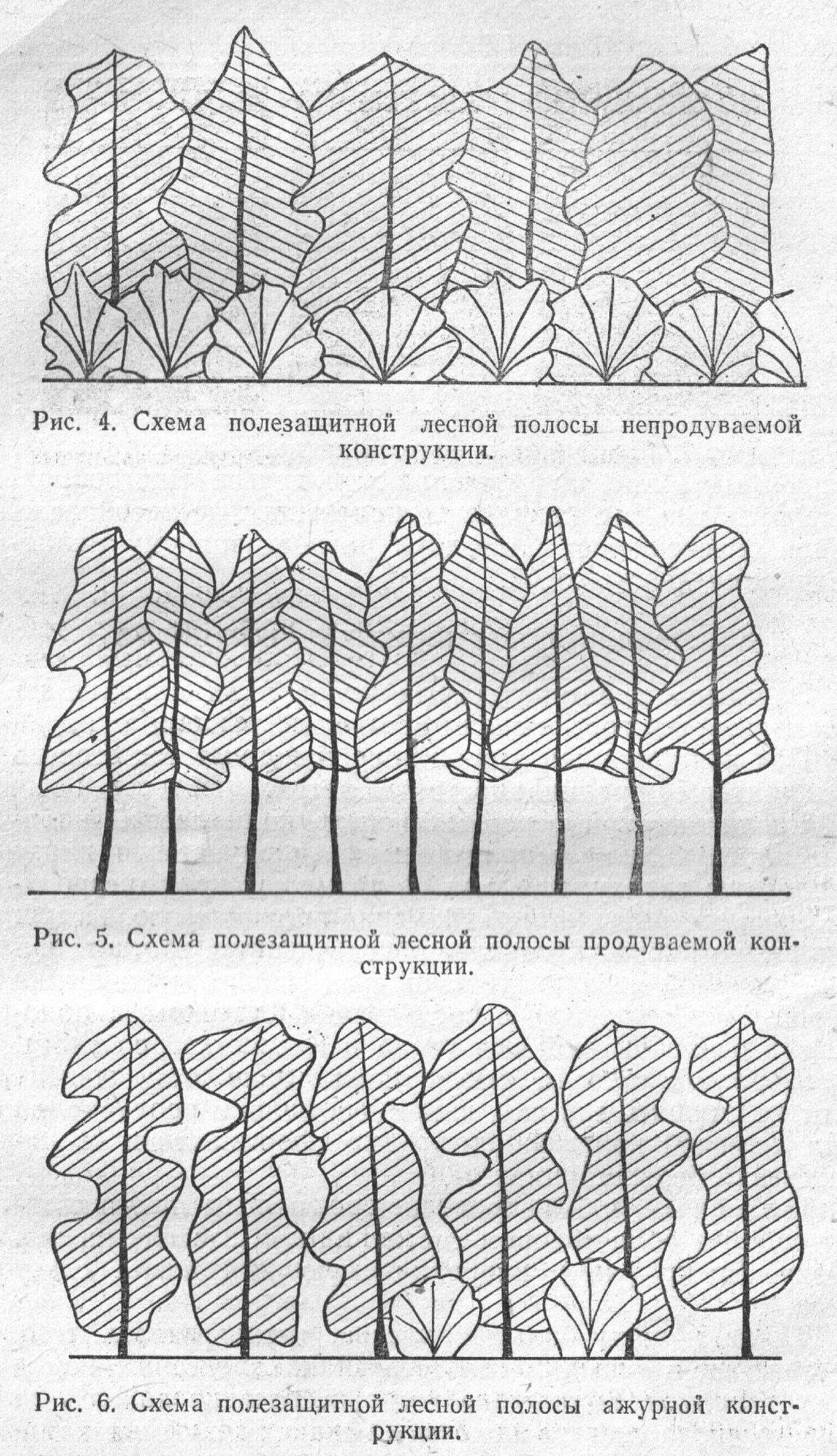 Сажать полезащитные Лесные полосы