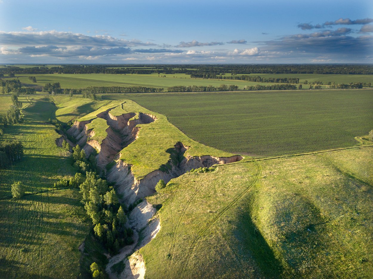 Агролесомелиорация склона