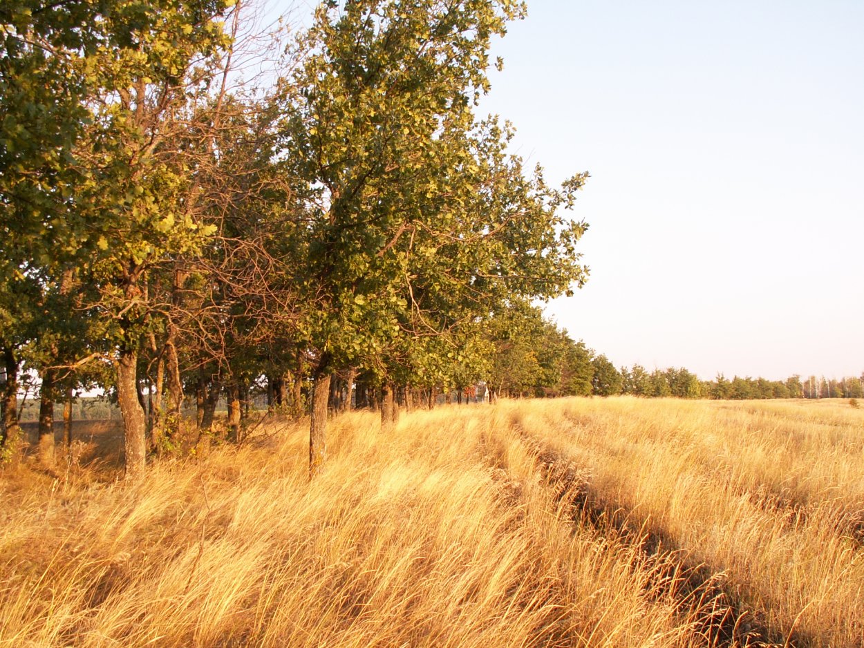 Борьба с эрозией почв