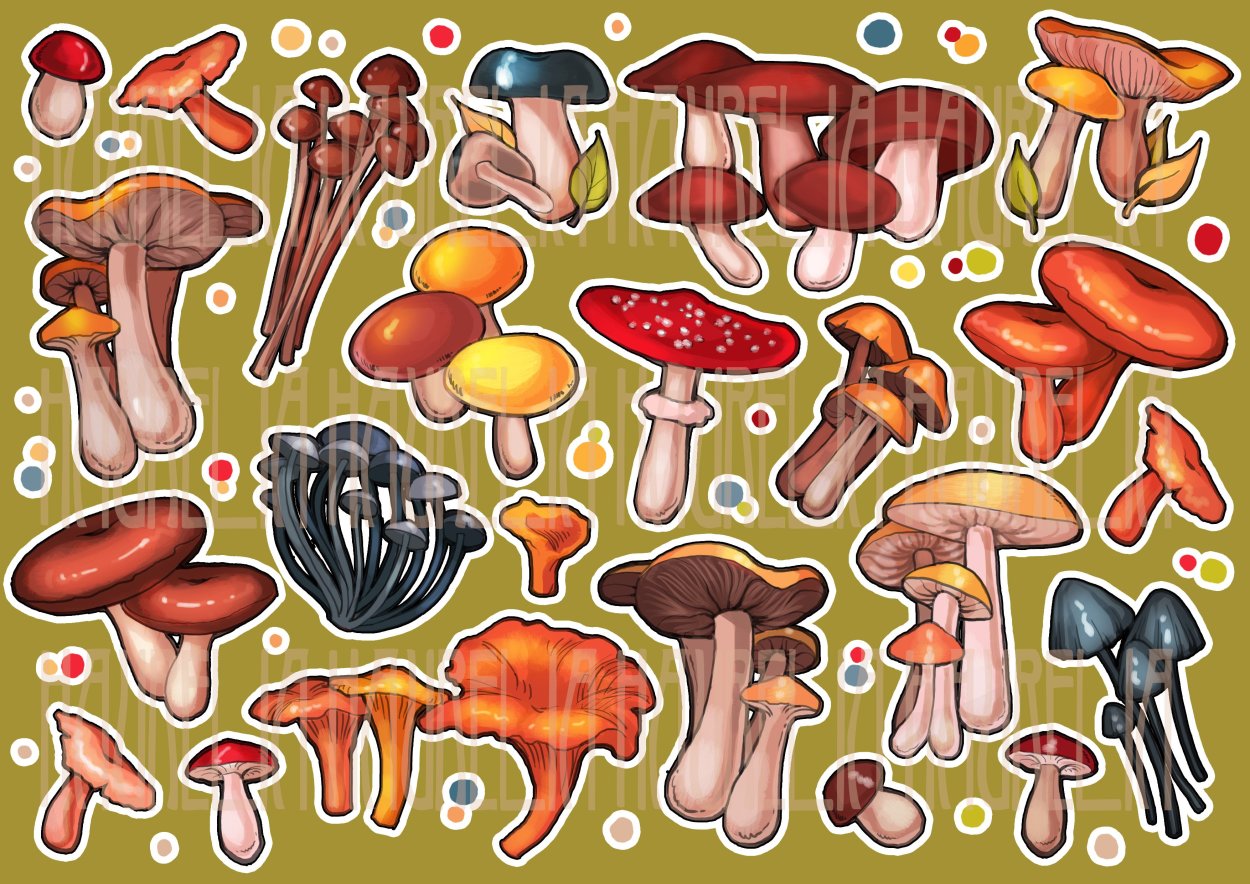 Трутовик пластинчатый гриб