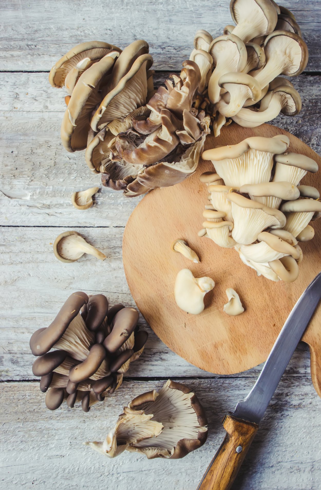 Вешенки еда